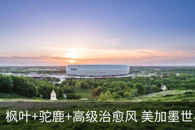 枫叶+驼鹿+高级治愈风 美加墨世界杯加拿大赛区开幕